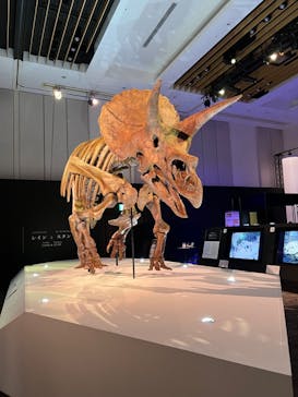 DinoScience 恐竜科学博 2023@TOKYO MIDTOWNに投稿された画像（2023/8/22）