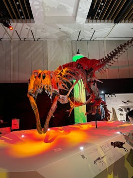 DinoScience 恐竜科学博 2023@TOKYO MIDTOWNに投稿された画像（2023/8/22）