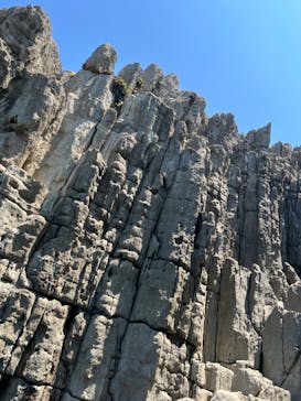 東尋坊観光遊覧船株式会社に投稿された画像（2023/8/22）