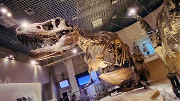 国立科学博物館に投稿された画像（2023/8/22）