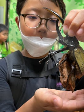 JOYPOLIS 特別イベントスペースに投稿された画像（2023/8/22）