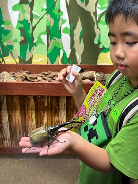 JOYPOLIS 特別イベントスペースに投稿された画像（2023/8/22）