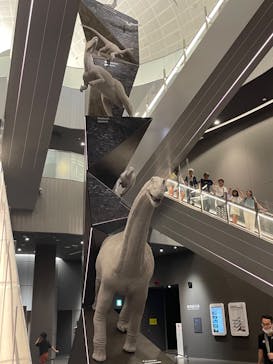 福井県立恐竜博物館に投稿された画像（2023/8/22）