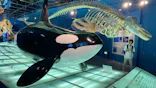 名古屋港水族館に投稿された画像（2023/8/22）