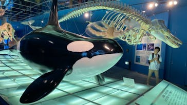 名古屋港水族館に投稿された画像（2023/8/22）