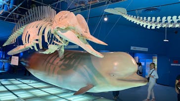 名古屋港水族館に投稿された画像（2023/8/22）