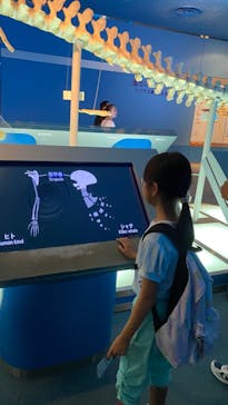 名古屋港水族館に投稿された画像（2023/8/22）