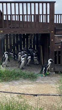 名古屋港水族館に投稿された画像（2023/8/22）
