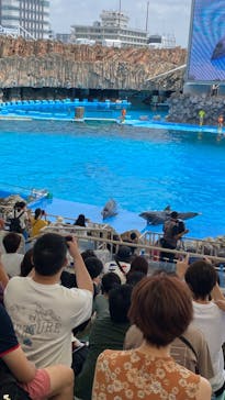 名古屋港水族館に投稿された画像（2023/8/22）