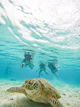 オースリーシュノーケル宮古島に投稿された画像（2023/8/22）