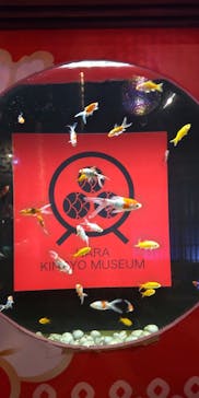 NARA IKIMONO MUSEUMに投稿された画像（2023/8/22）