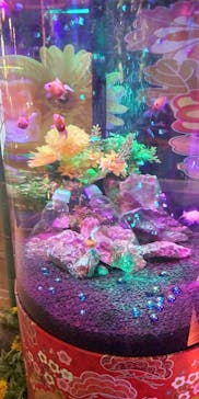 NARA IKIMONO MUSEUMに投稿された画像（2023/8/22）