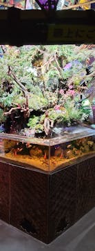 NARA IKIMONO MUSEUMに投稿された画像（2023/8/22）