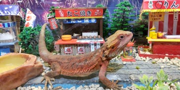 NARA IKIMONO MUSEUMに投稿された画像（2023/8/22）