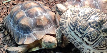 NARA IKIMONO MUSEUMに投稿された画像（2023/8/22）