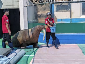 ゼロ距離水族館 伊勢シーパラダイスに投稿された画像（2023/8/22）