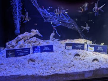 ゼロ距離水族館 伊勢シーパラダイスに投稿された画像（2023/8/22）