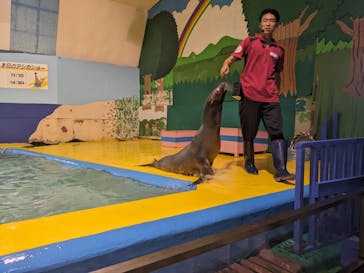 ゼロ距離水族館 伊勢シーパラダイスに投稿された画像（2023/8/22）