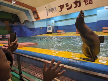 ゼロ距離水族館 伊勢シーパラダイスに投稿された画像（2023/8/22）