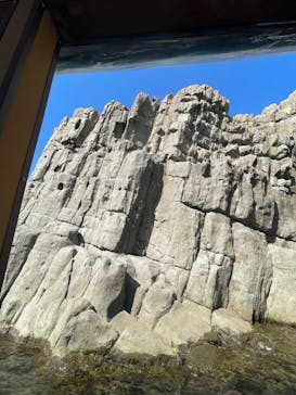 東尋坊観光遊覧船株式会社に投稿された画像（2023/8/22）