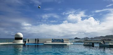 鴨川シーワールドに投稿された画像（2023/8/22）