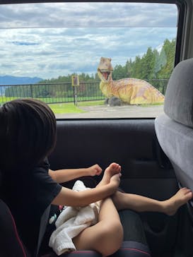 福井県立恐竜博物館に投稿された画像（2023/8/22）