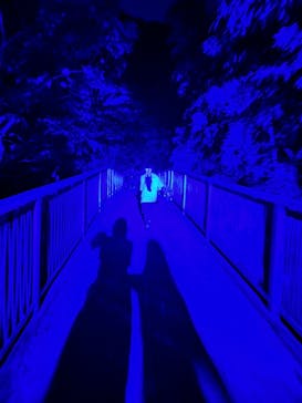 ニジゲンノモリに投稿された画像（2023/8/22）