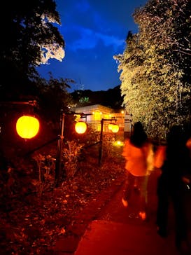 ニジゲンノモリに投稿された画像（2023/8/22）