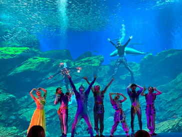 仙台うみの杜水族館に投稿された画像（2023/8/22）