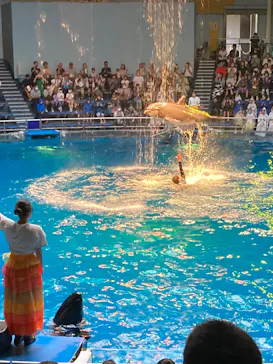 マクセル アクアパーク品川に投稿された画像（2023/8/22）