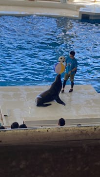 アクアワールド茨城県大洗水族館に投稿された画像（2023/8/22）