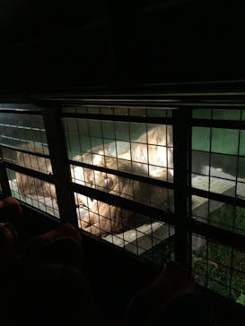 那須サファリパークに投稿された画像（2023/8/22）