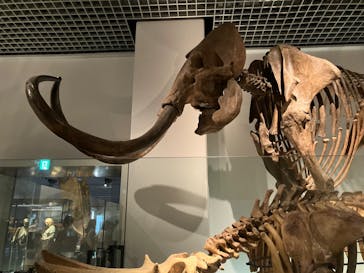 特別展「海　―生命のみなもと―」（国立科学博物館）に投稿された画像（2023/8/22）