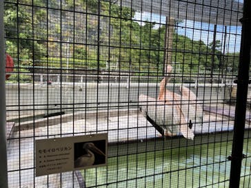 特別展「海　―生命のみなもと―」（国立科学博物館）に投稿された画像（2023/8/22）