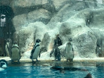 特別展「海　―生命のみなもと―」（国立科学博物館）に投稿された画像（2023/8/22）