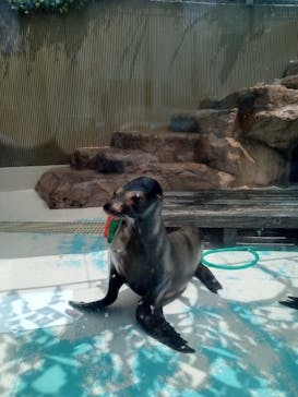 サンシャイン水族館に投稿された画像（2023/8/22）