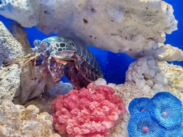 サンシャイン水族館に投稿された画像（2023/8/22）