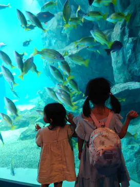 マクセル アクアパーク品川に投稿された画像（2023/8/22）