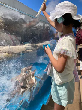 仙台うみの杜水族館に投稿された画像（2023/8/22）