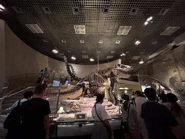 国立科学博物館に投稿された画像（2023/8/22）