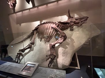 国立科学博物館に投稿された画像（2023/8/22）