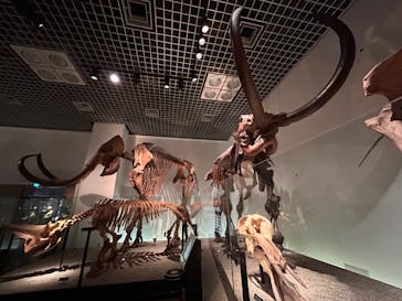 国立科学博物館に投稿された画像（2023/8/22）