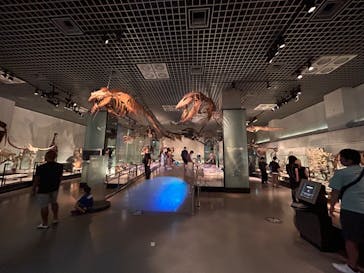 国立科学博物館に投稿された画像（2023/8/22）