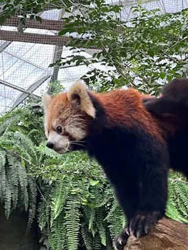 神戸どうぶつ王国に投稿された画像（2023/8/22）