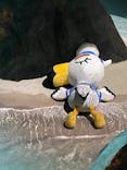 上越市立水族博物館 うみがたりに投稿された画像（2023/8/23）