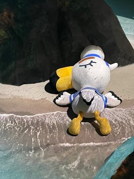 上越市立水族博物館 うみがたりに投稿された画像（2023/8/22）