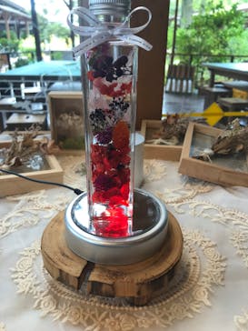 モビリティリゾートもてぎに投稿された画像（2023/8/22）