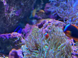 仙台うみの杜水族館に投稿された画像（2023/8/23）