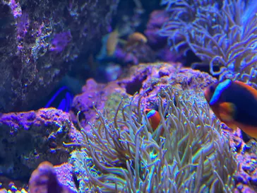 仙台うみの杜水族館に投稿された画像（2023/8/22）
