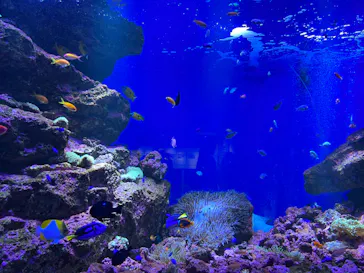 仙台うみの杜水族館に投稿された画像（2023/8/22）